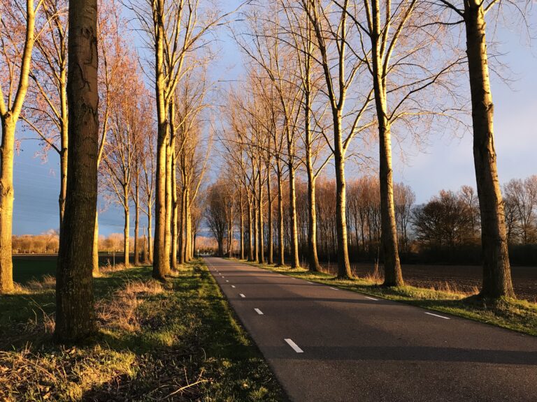 road-4821303